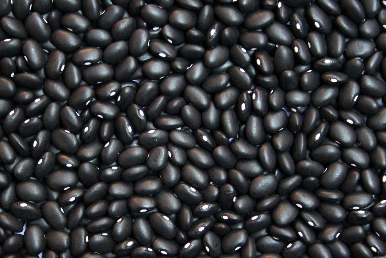 Feijão Preto